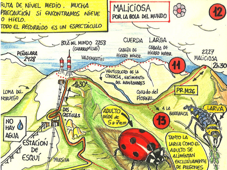 Dibujar el campo: las viñetas montañeras de Paco López Saura
