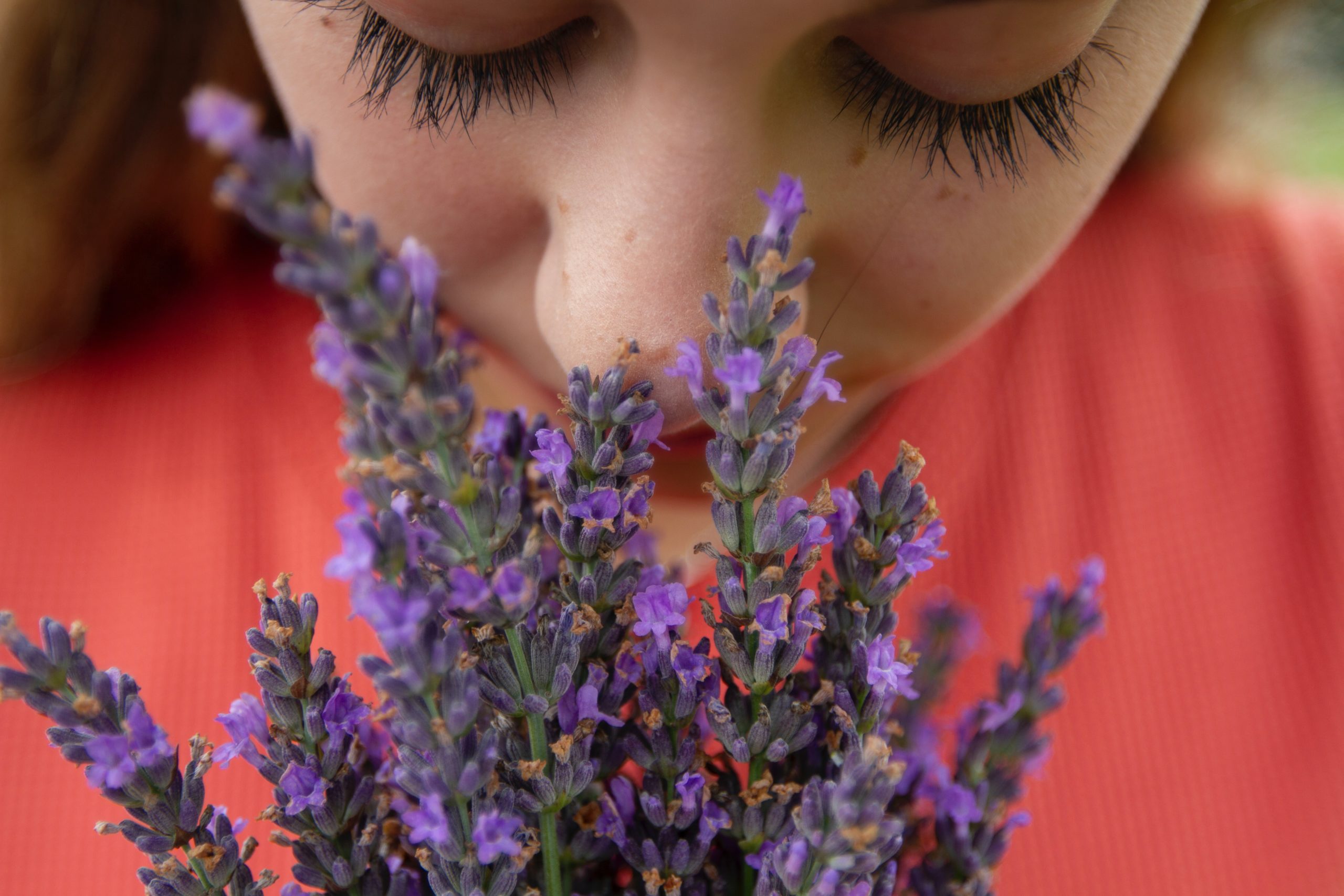 Las emociones huelen: cómo la aromaterapia despierta tu memoria sentimental