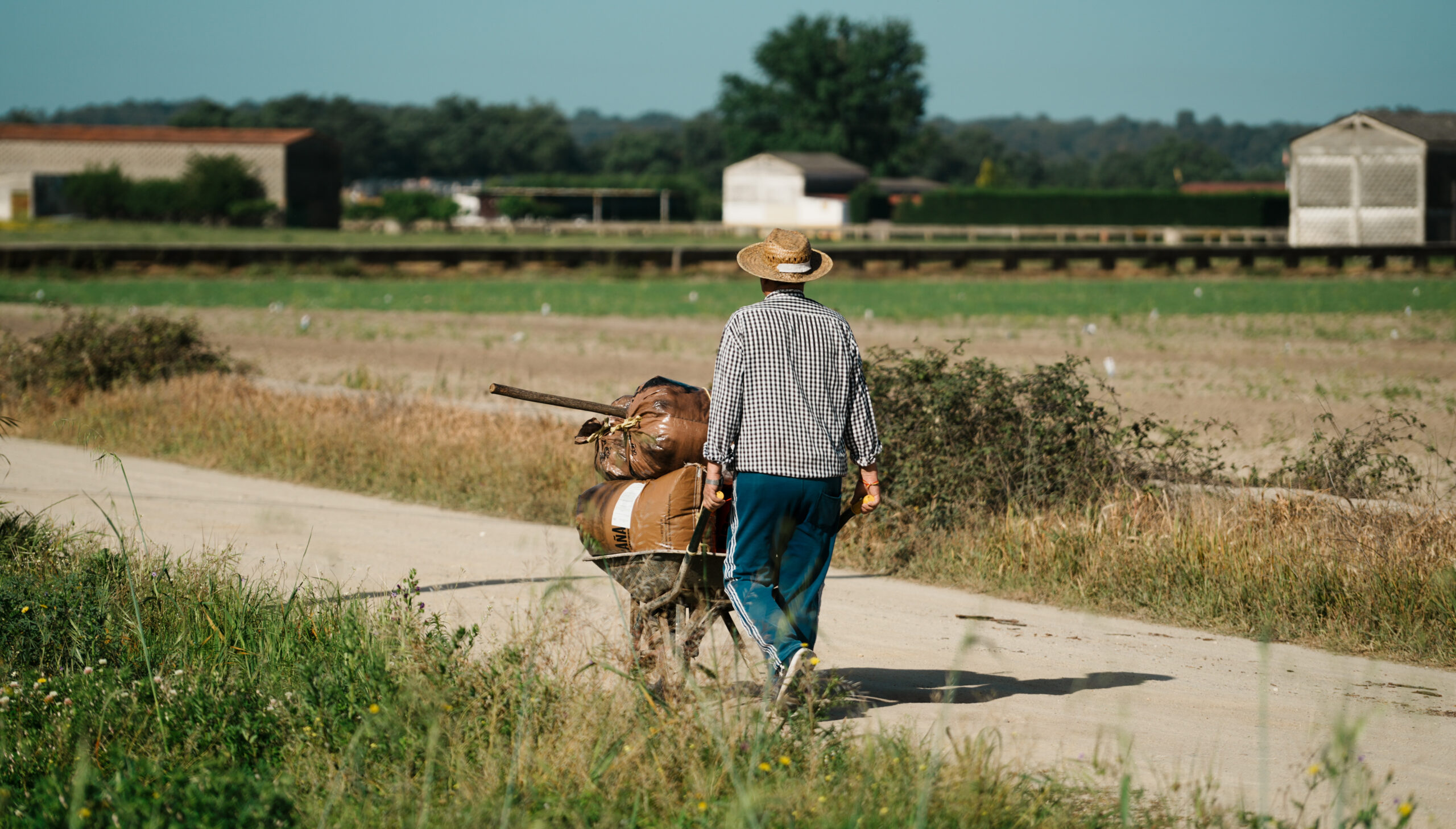 El color de lo ruralmente urbano