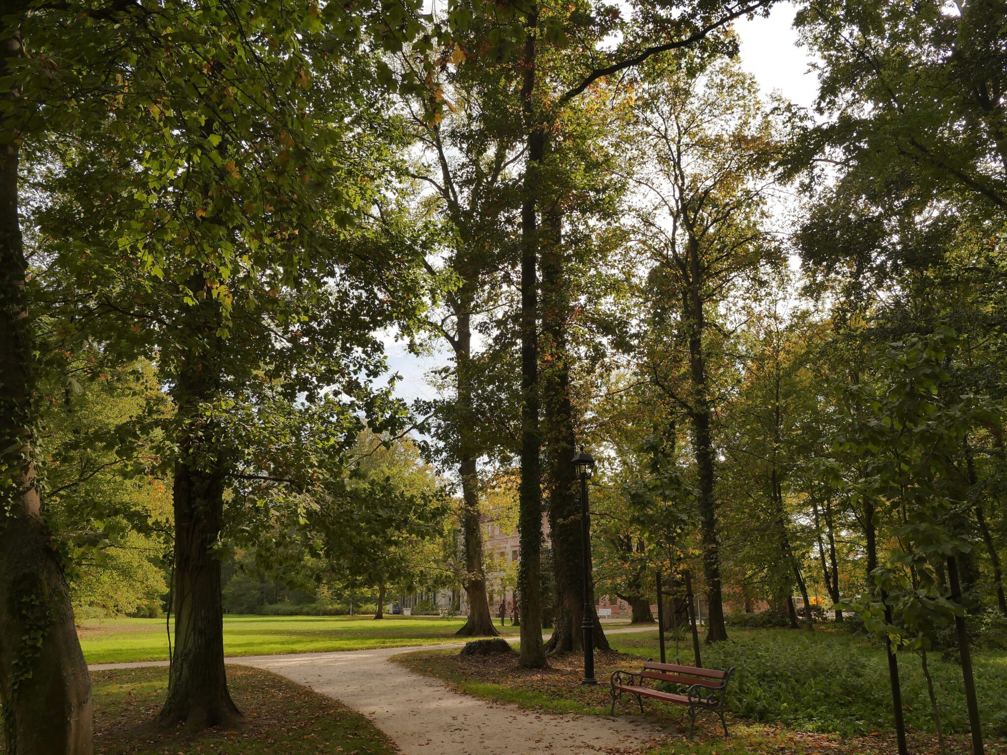 ciudad